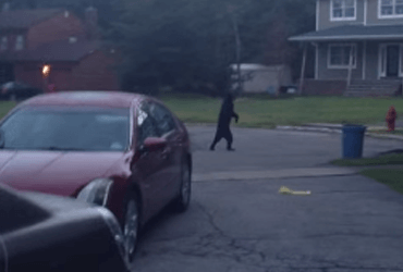 Bear Walking Upright in Viral Video 