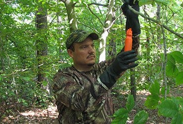 Man Hanging Deer Scents on Tree 