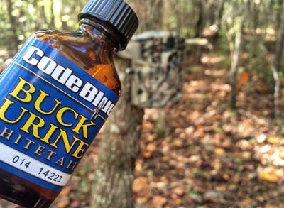 Bottle of Code Blue Buck Urine in Woods 