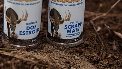 Code Blue Doe Estrous and Scrape Mate