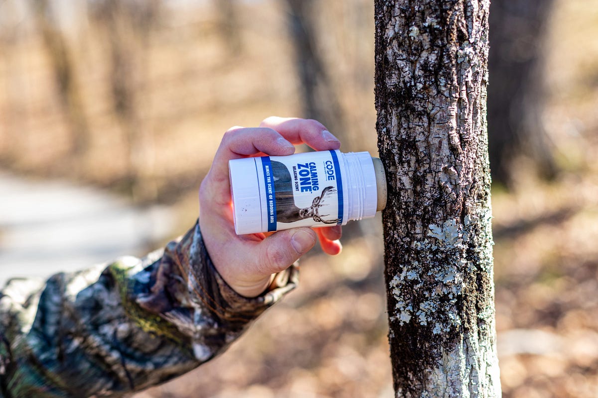 Man applies Calming Zone stick to tree