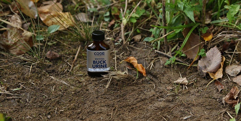 Buck Urine bottle in woods