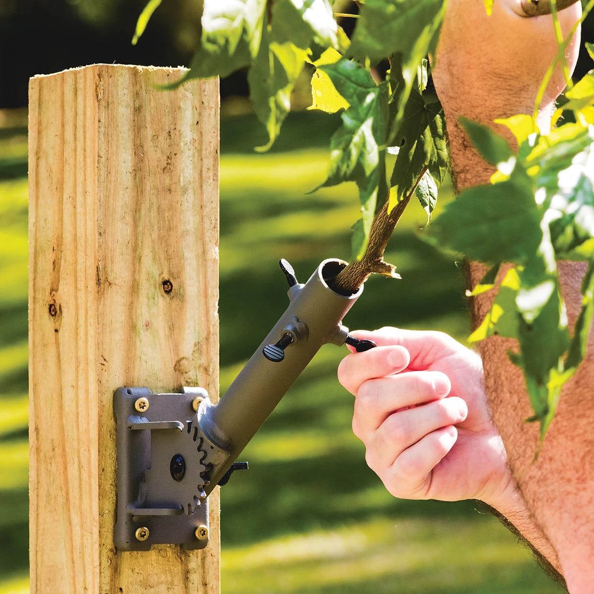 Man securing a branch in the Buck Angler system